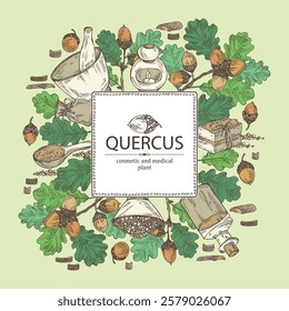 Background with quercus: branch of oak, leaves, oak bark, quercus tree and oak acorn. Oil, soap and bath salt . Cosmetics and medical plant. Vector hand drawn illustration