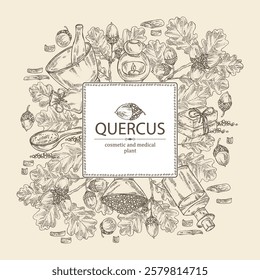 Background with quercus: branch of oak, leaves, oak bark, quercus tree and oak acorn. Oil, soap and bath salt . Cosmetics and medical plant. Vector hand drawn illustration