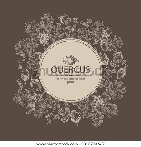 Background with quercus: branch of oak, leaves, oak bark, quercus tree and oak acorn. Cosmetics and medical plant. Vector hand drawn illustration.