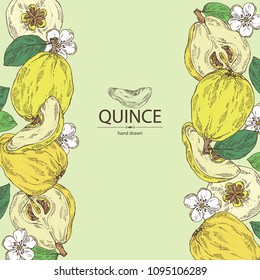 Background with quince: fruit, flower, leaves and quince slice. Vector hand drawn illustration.