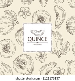 Background with quince: fruit, flower, leaves and quince slice. Vector hand drawn illustration.