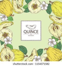 Background with quince: fruit, flower, leaves and quince slice. Vector hand drawn illustration.