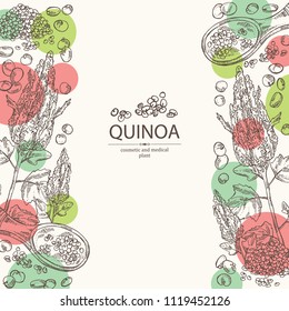 Background with quinoa: plant and quinoa seeds. Super food. Vector hand drawn illustration.