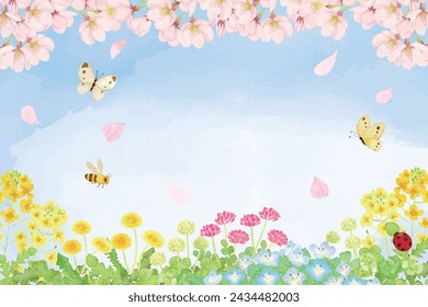 Background of rape blossoms and cherry blossoms painted in watercolor