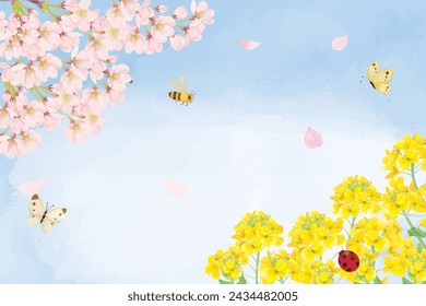 Background of rape blossoms and cherry blossoms painted in watercolor