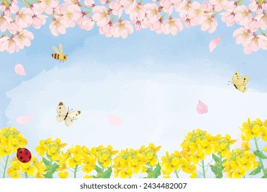 Background of rape blossoms and cherry blossoms painted in watercolor