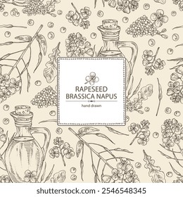 Fundo com colza: planta brassica napus, sementes, flores de colza e garrafa de óleo de colza. Brassica napus. Ilustração desenhada à mão vetorial