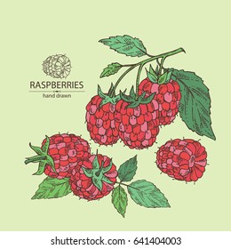 Background with raspberries. hand drawn.
