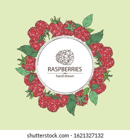 Background with raspberry and branch of raspberry. Vector hand drawn illustration