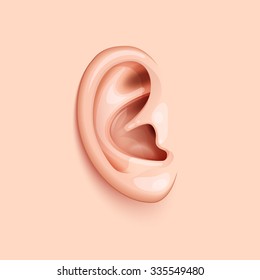 Background with realistic ear. Vector illustration.