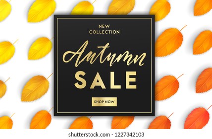 Сolorful background with realistic fall leaves gradient color palete. Autumn vector background design layout for banners, presentations, flyers, posters, wallpaper