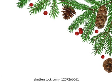Background with realistic green fir tree branch, christmas berry and cones. Place for text, congratulation. Christmas, New Year symbol.
