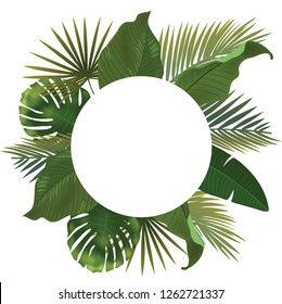Background with realistic green palm leaf branches on white background. flat lay, top view