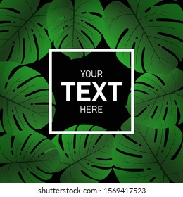 Background of realistic leaf monstera on black. Your text here. Vector illustration.
