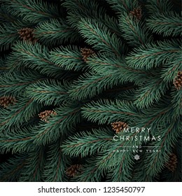 Background with Realistic Looking Christmas Tree Branches and Fir-cones.