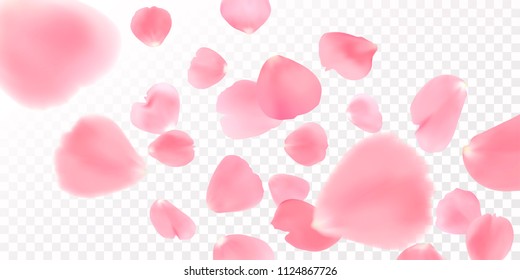 Background with realistic pink rose petals on white background. EPS10 vector.