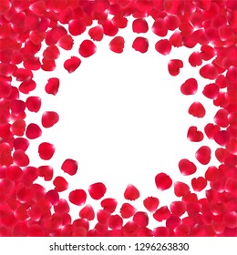 Background with realistic red rose petals isolated on white background. 