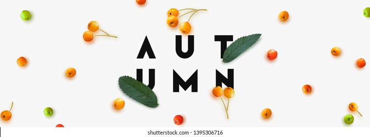Background with realistic ripe rowan, text lettering Autumn.