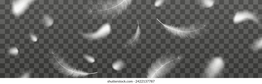 Background of  realistic vector goose or swan feathers of various shapes. Ecological feather filler for pillows, blankets or jackets.Vector concept design,line art.