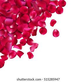 Background of red, pink rose petals. Vector illustration, Isolated on white background. 