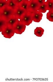 Background with Red Poppies isolated on white. Vector Illustration