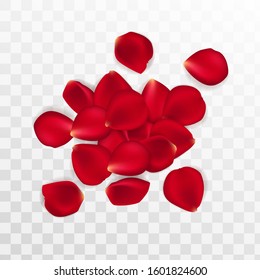 Background of red rose petals. Vector illustration red rose background