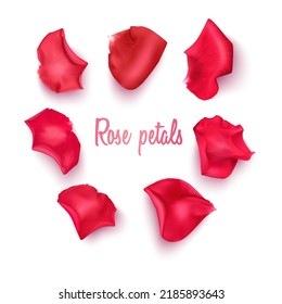 Background of red rose petals. Vector