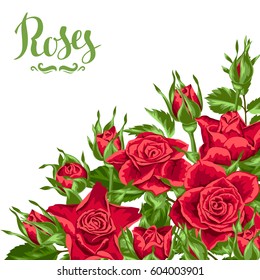 Background with red roses. Beautiful realistic flowers, buds and leaves.