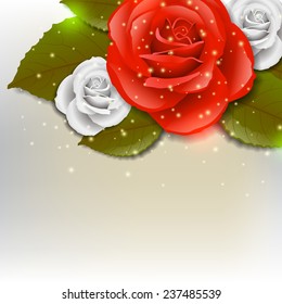 Background of red and white roses with green leafs. (EPS10 Vector)