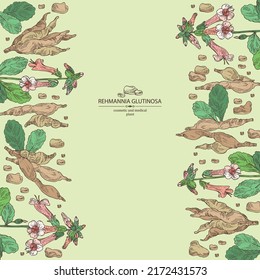 Background with rehmannia glutinosa: rehmannia plant, leaves, rehmannia flowers and rehmannia glutinosa root. Cosmetic, perfumery and medical plant. Vector hand drawn illustration.