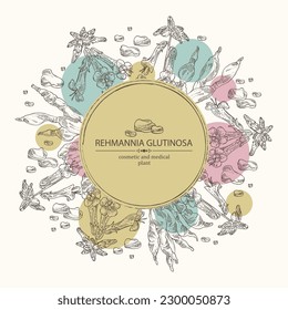 Background with rehmannia glutinosa: rehmannia plant, leaves, rehmannia flowers and rehmannia glutinosa root. Cosmetic, perfumery and medical plant. Vector hand drawn illustration.