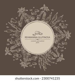 Background with rehmannia glutinosa: rehmannia plant, leaves, rehmannia flowers and rehmannia glutinosa root. Cosmetic, perfumery and medical plant. Vector hand drawn illustration.