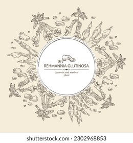 Background with rehmannia glutinosa: rehmannia plant, leaves, rehmannia flowers and rehmannia glutinosa root. Cosmetic, perfumery and medical plant. Vector hand drawn illustration.