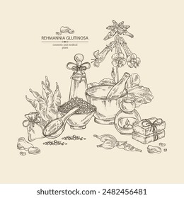 Background with  rehmannia glutinosa: rehmannia plant, leaves, rehmannia flowers and rehmannia glutinosa root. Oil, soap and bath salt . Cosmetics and medical plant. Vector hand drawn