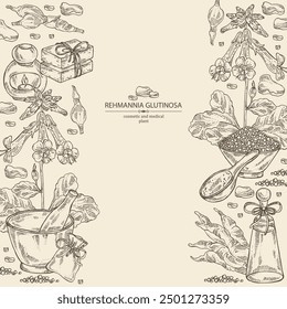 Background with  rehmannia glutinosa: rehmannia plant, leaves, rehmannia flowers and rehmannia glutinosa root. Oil, soap and bath salt . Cosmetics and medical plant. Vector hand drawn