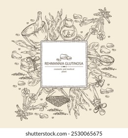 Background with  rehmannia glutinosa: rehmannia plant, leaves, rehmannia flowers and rehmannia glutinosa root. Oil, soap and bath salt . Cosmetics and medical plant. Vector hand drawn