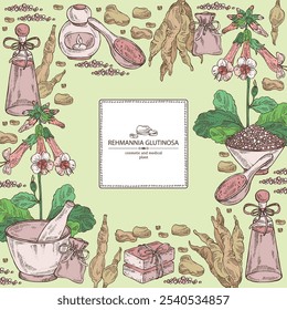 Background with  rehmannia glutinosa: rehmannia plant, leaves, rehmannia flowers and rehmannia glutinosa root. Oil, soap and bath salt . Cosmetics and medical plant. Vector hand drawn