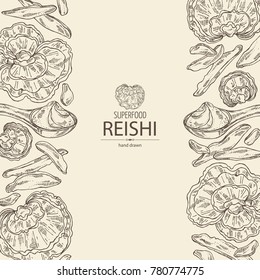 Background with reishi: mushroom, powder and a bit of reishi. Super food. Vector hand drawn illustration