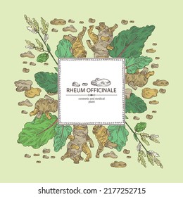 Background with rheum officinale: rheum officinale plant, leaves and rheum officinale roots. Chinese rhubarb. Cosmetic, perfumery and medical plant. Vector hand drawn illustration.