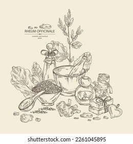 Background with rheum officinale: rheum officinale plant, leaves and rheum officinale roots. Chinese rhubarb. Oil, soap and bath salt . Cosmetics and medical plant. Vector hand drawn