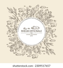 Background with rheum officinale: rheum officinale plant, leaves and rheum officinale roots. Chinese rhubarb. Cosmetic, perfumery and medical plant. Vector hand drawn illustration.