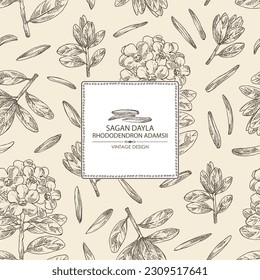 Background with  rhododendron adamsii: plant, rhododendron adamsii leaves, flowers and rhododendron adamsii tea. Sagan dali tea. Vector hand drawn illustration.