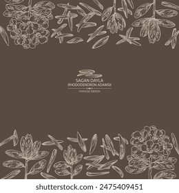 Background with  rhododendron adamsii: plant, rhododendron adamsii leaves, flowers and rhododendron adamsii tea. Sagan dali tea. Vector hand drawn illustration.