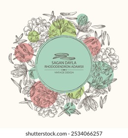 Fundo com rhododendron adamsii: planta, folhas de rhododendron adamsii, flores e chá de rhododendron adamsii. Chá Sagan dali. Ilustração desenhada à mão vetorial.