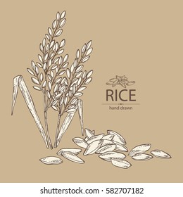 Background with rice. hand drawn