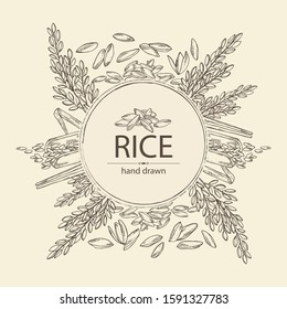 Background with rice, plant, grain of rice, leaves, chopsticks. Vector hand drawn illustration