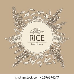 Background with rice, plant, grain of rice, leaves, chopsticks. Vector hand drawn illustration