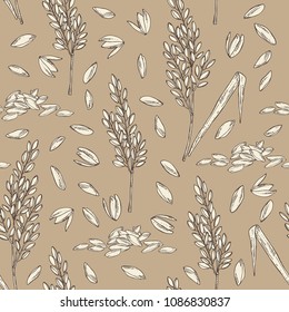 Background with rice and plant with rice. Vector hand drawn illustration.