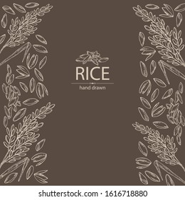 Background with rice and plant with rice. Vector hand drawn illustration.