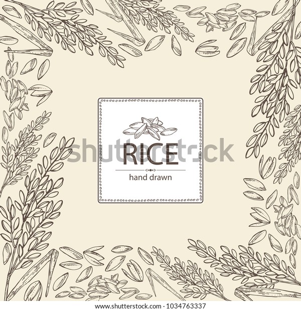 background rice plant rice vector hand stock vector royalty free 1034763337 https www shutterstock com image vector background rice plant vector hand drawn 1034763337